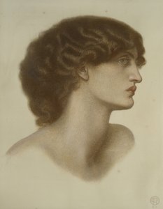 Perlascura, 1871 (rødt og brunt kritt forsterket med hvitt, på blekgrønt papir)